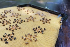 106125450_285124232842760_4836586595345527174_n