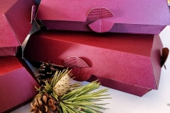 130725559_416923996329449_8815208830128671378_n