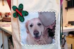 142264869_441762080512307_49310873364990798_n