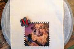 142477918_441763387178843_9173989271381845199_n