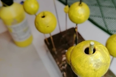 170714373_487943885894126_8754316097376524756_n