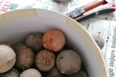 170840399_487943895894125_7896137305808211173_n