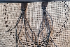 173396136_494528075235707_5266100929272041764_n