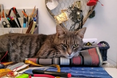 180472946_500448037977044_6860245692003141921_n