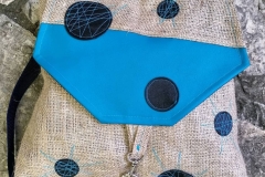 201074643_529017595120088_4658720629381112162_n